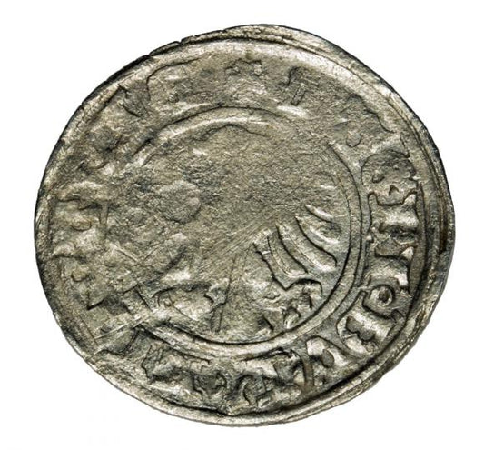 Półgrosz Aleksander Jagiellończyk Polska Wilno