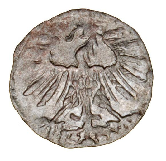 Denar 1556 Zygmunt II August Litwa Wilno