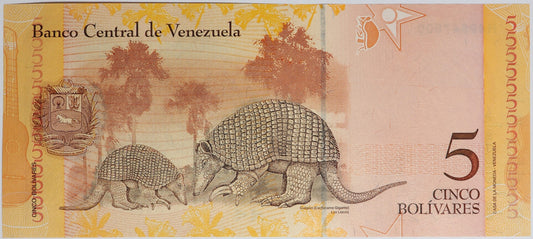 5 Boliwarów - Wenezuela - 2008 rok