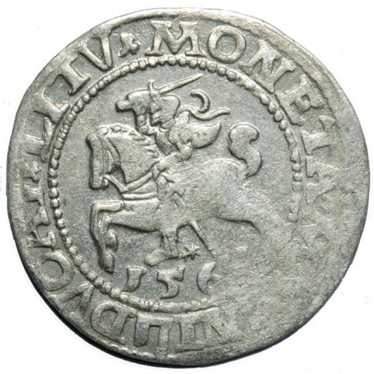 Półgrosz 1563 Zygmunt II August Wilno