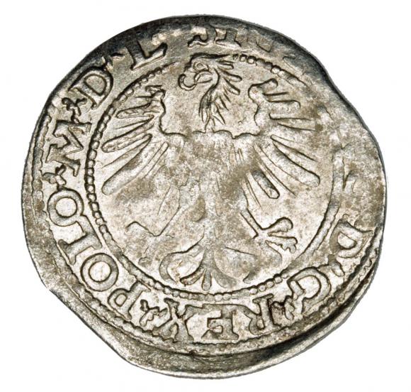 Półgrosz 1563 Zygmunt II August Litwa Wilno
