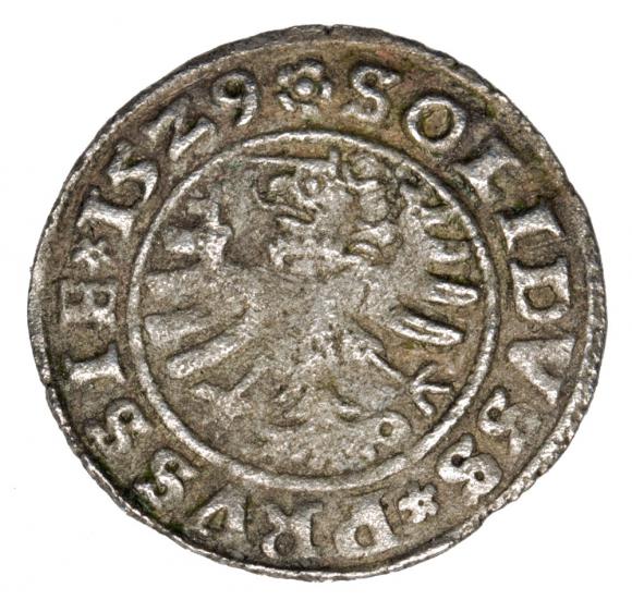 Szeląg 1529 Zygmunt I Stary Polska Toruń