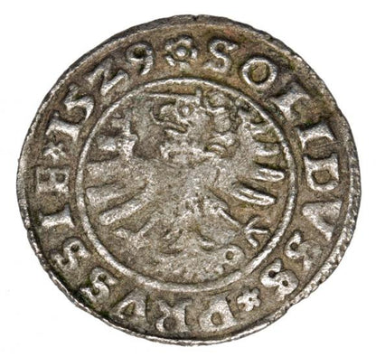 Szeląg 1529 Zygmunt I Stary Polska Toruń