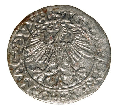 Półgrosz 1561 Zygmunt II August Wilno