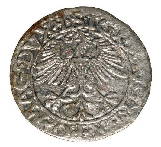 Półgrosz 1561 Zygmunt II August Wilno