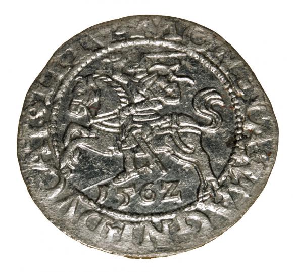 Półgrosz 1562 Zygmunt II August Wilno