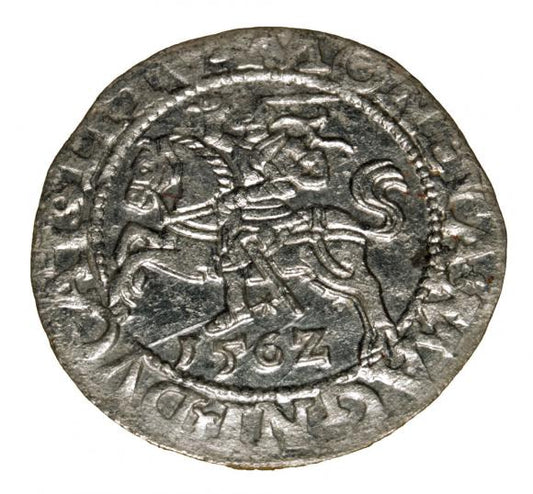 Półgrosz 1562 Zygmunt II August Wilno