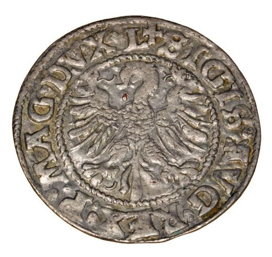 Półgrosz 1546 Zygmunt II August Litwa Wilno