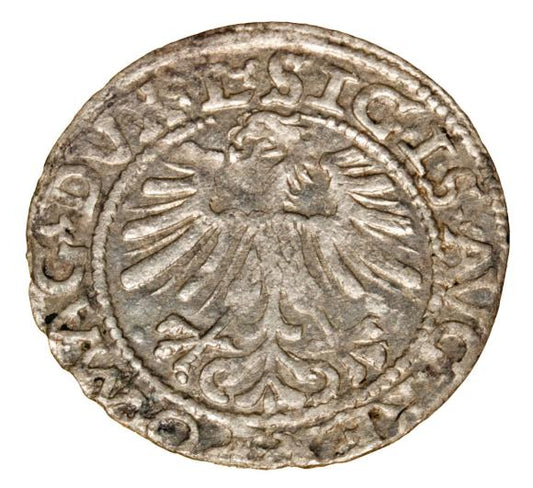 Półgrosz 1562 Zygmunt II August Litwa Wilno
