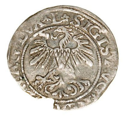 Półgrosz 1560 Zygmunt II August Litwa Wilno