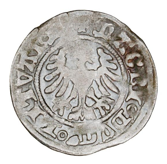 Półgrosz 1501-1506 Aleksander Jagiellończyk Litwa Wilno
