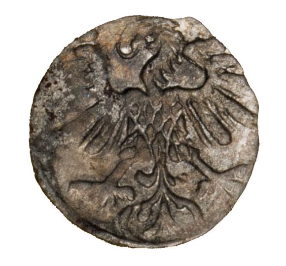 Denar 1559 Zygmunt II August Litwa Wilno