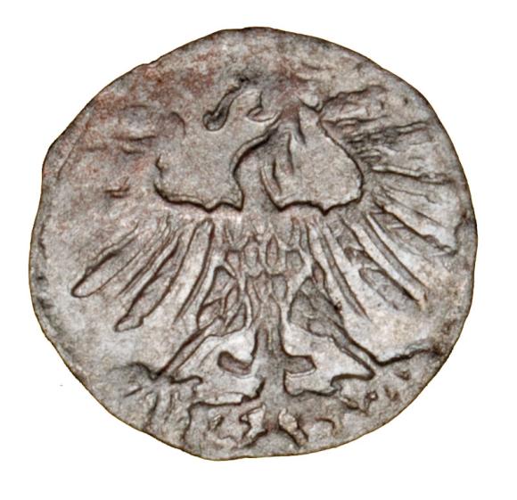 Denar 1556 Zygmunt II August Litwa Wilno