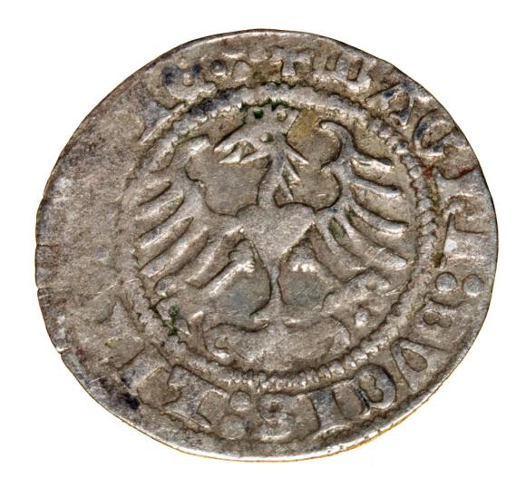 Półgrosz 1513 Zygmunt I Stary Litwa Wilno