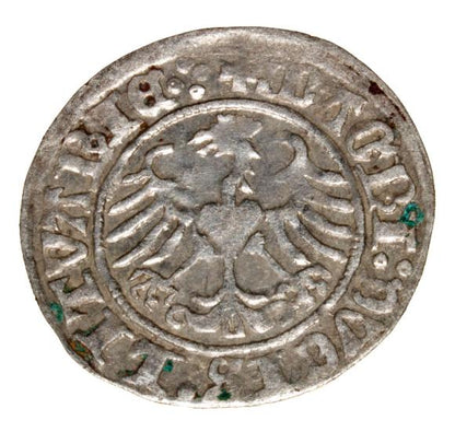 Półgrosz 1513 Zygmunt I Stary Litwa Wilno