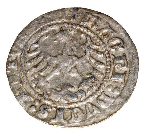 Półgrosz 1513 Zygmunt I Stary Litwa Wilno