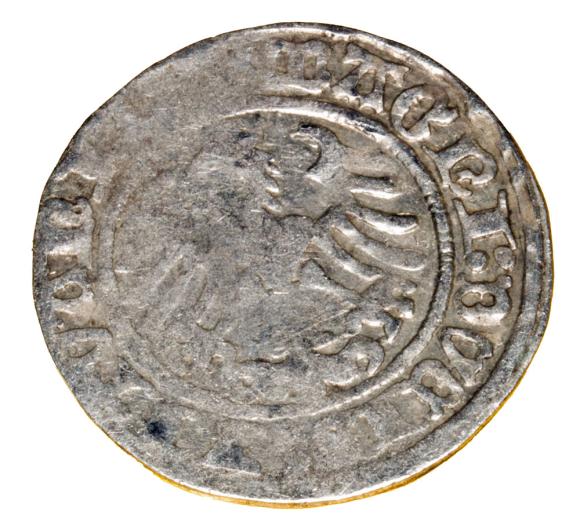 Półgrosz 1514 Zygmunt I Stary Litwa Wilno