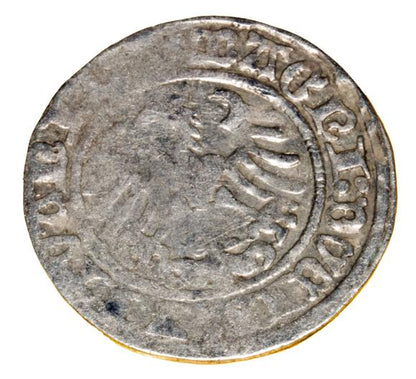Półgrosz 1514 Zygmunt I Stary Litwa Wilno