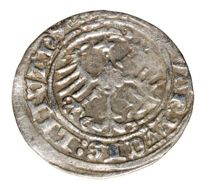 Półgrosz 1514 Zygmunt I Stary Litwa Wilno