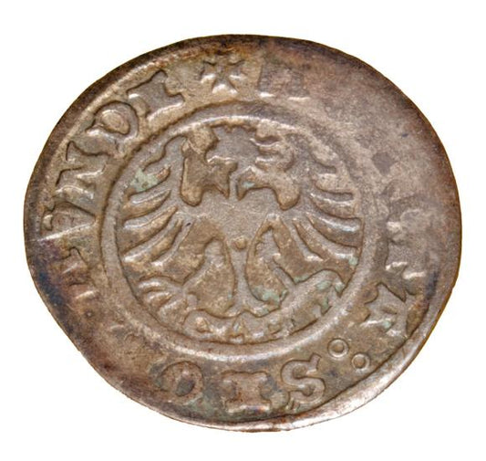 Półgrosz 1509 Zygmunt I Stary Polska Kraków