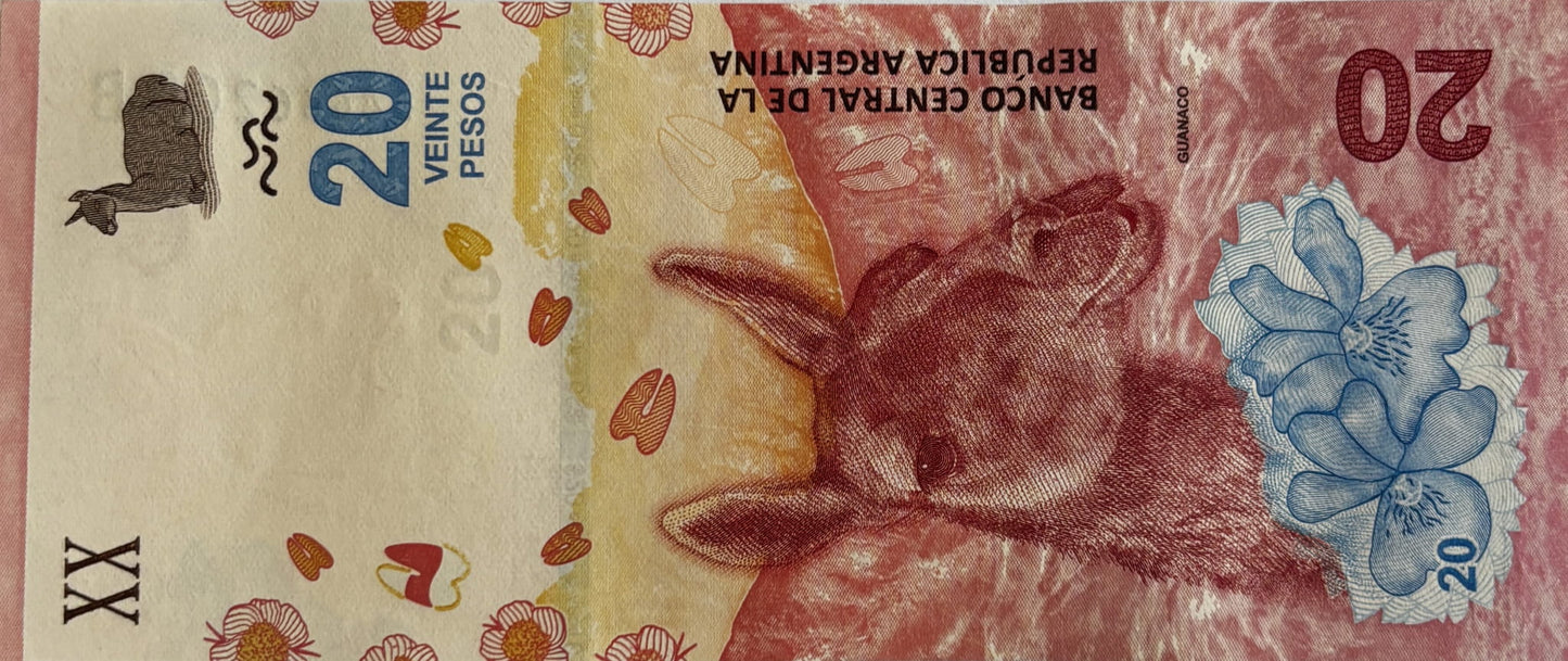 20 Pesos - Argentyna - 2017 rok