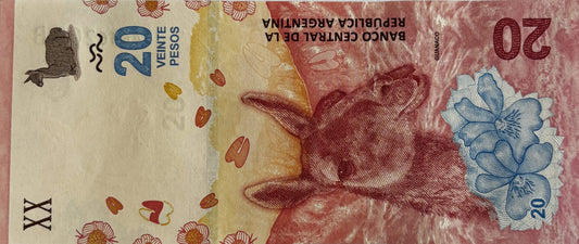 20 Pesos - Argentyna - 2017 rok