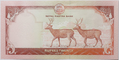 20 Rupii - Nepal - 2020 rok
