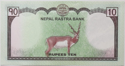 10 Rupii - Nepal - 2020 rok