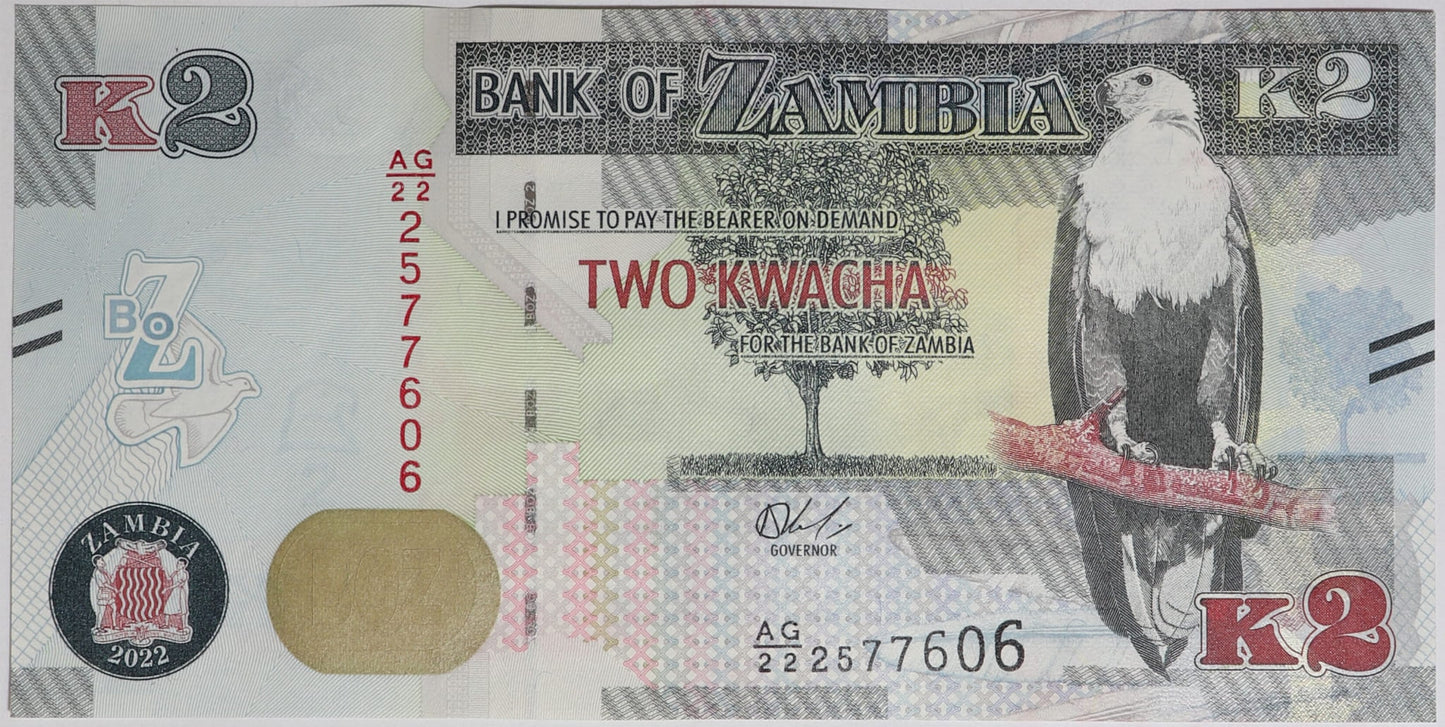 2 Kwacha - Zambia - 2022 rok