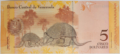 5 Boliwarów - Wenezuela - 2008 rok